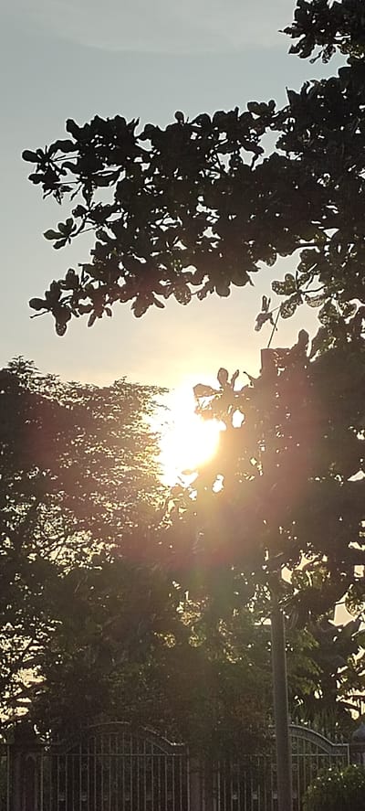 The image captures a serene natural scene at sunset in Meunyematangubi, Indonesia. The sun, a bright, glowing orb, is partially obscured by the lush foliage of trees, casting warm, golden rays that create a beautiful lens flare effect. Silhouetted against the sky, the branches and leaves of the trees create an intricate, dappled pattern, with some leaves appearing more defined than others.
In the foreground, a dark, metal fence with an arched design runs horizontally across the bottom of the frame. The fence, with its vertical bars and decorative elements, suggests the boundary of a property or a park. Behind the fence and the trees, the sky is a pale, hazy blue, indicating the soft light of late afternoon or early evening.
The overall mood is tranquil and peaceful, evoking a sense of quiet beauty as the day draws to a close. The natural elements—the trees, the sunlight, and the sky—dominate the scene, while the fence provides a subtle hint of human presence. There is no visible text in the image. The time of day is clearly sunset, characterized by the low angle of the sun and its warm, diffused light. The location cues are limited to the provided context of Meunyematangubi, Indonesia, which hints at a tropical or subtropical environment given the dense foliage.