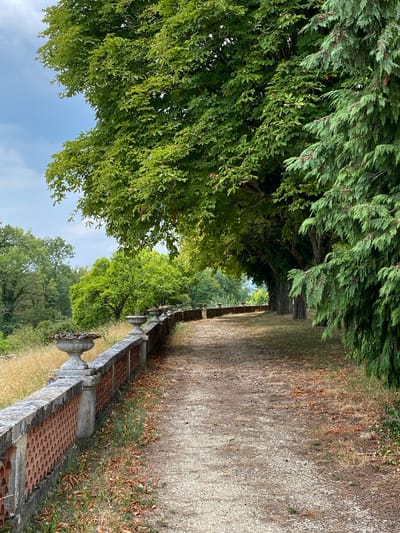 This image depicts a pathway lined with a stone and brick balustrade, leading into a grove of trees. The pathway is covered in gravel and scattered with fallen leaves. On the left side of the pathway, the balustrade features ornate stone urns. The background reveals a lush green landscape with a mix of deciduous and coniferous trees under a slightly overcast sky. The scene suggests a park or garden setting. The provided hints indicate that the image is located in Laténa, Switzerland.