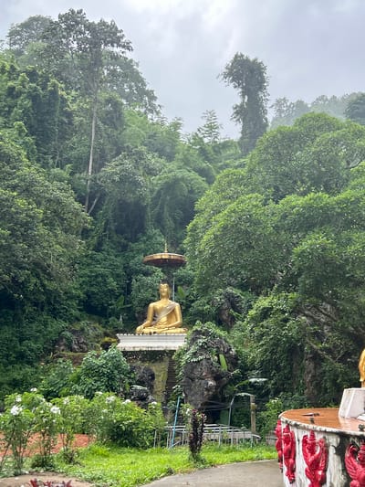 The image depicts a mountainous, heavily vegetated area in Chiang Dao, Thailand, under an overcast sky. A large golden Buddha statue, seated in a meditative posture with a light-colored sash over its left shoulder, is the central subject. A multi-tiered golden parasol (chatra) is positioned directly above the Buddha's head. The statue rests on a prominent white, tiered rectangular platform, which is integrated into the natural rocky terrain.

Behind and around the Buddha, the hillside is densely covered with lush, vibrant green foliage, indicative of a tropical forest. Numerous trees of varying heights and species are visible, including a tall, slender tree with a lighter trunk in the upper left, and a vine-covered tree or formation in the upper right that has an irregular, distinct crown shape. Large, dark, moss-covered rocks are interspersed within the greenery. Stone steps are partially visible ascending to the Buddha's platform from the right. Several small, white, pointed shrine-like structures are present to the left of the Buddha's platform.

In the foreground, a dirt path or ground area is partially covered with grass and small plants. On the left, a cluster of bushes with white flowers is visible. On the lower right, a curved, low wall or platform is adorned with multiple red, winged, stylized figures in relief. The top surface of this structure is a reddish-brown color and appears wet. Some light blue metal piping and a dark pole are also present on the right side of the foreground. The sky overhead is a uniform light gray, indicating a cloudy or misty atmosphere, which subtly softens the distant hills.