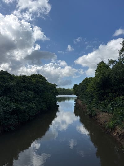 A vertical, medium shot shows a river flowing between dense, dark green foliage on either bank under a bright, partly cloudy blue sky. The river reflects the sky and clouds, creating a mirror image. The water is dark and calm, with a slight ripple. The foliage on the left bank is a solid wall of green, while the foliage on the right bank is also dense but with some exposed soil and undergrowth visible along the edge. The river appears to be artificial, possibly a canal, given its straight edges. The scene evokes a sense of natural tranquility, but the structured banks suggest human intervention. The location is identified as Angulugaha Junction, Sri Lanka. There are no people or animals visible in the image.