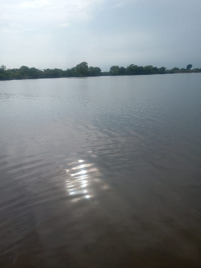 The image depicts a wide, calm body of water, likely a river or lake, with a densely vegetated shoreline in the distance. The sky is overcast, with a bright patch of sunlight reflecting on the water's surface, creating shimmering patterns of light and shadow. The trees along the shore appear lush and green, suggesting a temperate climate. There are no visible people, structures, or man-made objects in the scene, giving it a natural and serene atmosphere. The overall impression is one of tranquility and natural beauty.