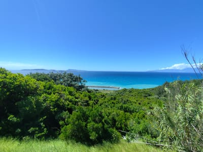 This media file presents a panoramic landscape view of a vibrant coastal scene on a bright, sunny day, likely from an elevated vantage point.
The top half of the image is dominated by a clear, brilliant blue sky, virtually cloudless save for a faint white wisp on the far right horizon and a subtle, thin line across the upper left. Below the expansive sky, the calm sea stretches across the mid-ground, showcasing a beautiful gradient of turquoise hues closer to the shore, transitioning to a deeper, more intense blue further out. The surface of the water displays subtle ripples or small waves. In the distant background, several dark, mountainous islands or landmasses are silhouetted against the bright horizon.
The foreground and mid-ground are characterized by an abundance of lush, dense green vegetation. A variety of trees and shrubs with rich foliage create a vibrant tapestry across the rolling landscape. Partially visible through the trees in the mid-ground is a curved stone or rock breakwater extending into a small, tranquil cove. The immediate foreground features a grassy slope on the left and bottom, while tall, reedy plants with slender leaves frame the right side of the image.
The bright, direct sunlight indicates it is likely mid-day. The weather is clear and sunny, contributing to the vivid colors of the scene. No people or discernible text are visible in the image. The serene and picturesque setting is characteristic of a Mediterranean landscape, consistent with the given location context of Agios Stefanos, Greece.