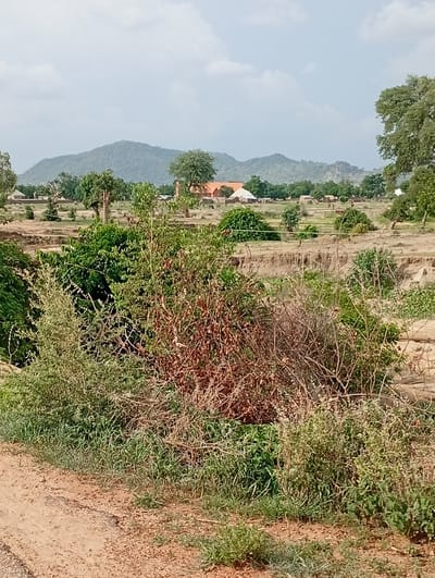 In Shuwa, Nigeria, the image captures a natural landscape dominated by vegetation and geological formations. A dirt path, partially visible at the bottom, suggests a rural setting. The middle ground reveals a dry, eroded riverbed or gully, indicative of a landscape shaped by water. Beyond this, the terrain is characterized by sparse vegetation, scattered trees, and small structures that could be part of a village. In the distance, rolling hills or mountains create a backdrop under a cloudy sky. The scene appears to be an undeveloped area, possibly on the outskirts of the town.