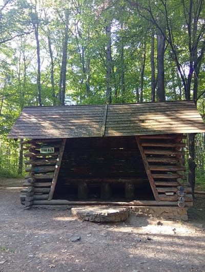 A rustic, wooden, A-frame shelter with a plank roof stands in a forest clearing. The shelter is constructed from logs, with benches inside. A stone step leads up to the entrance. A sign is visible on the left side of the shelter, with text and pictograms. The surrounding environment is dense forest with tall trees and dappled sunlight. The ground is covered with dirt, leaves, and small stones. The overall scene appears to be a rest stop or picnic area within a natural setting.