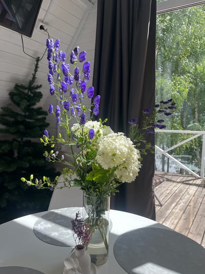 The image depicts an indoor scene, likely a dining area, with a round white table in the foreground. On the table, there is a clear glass vase containing a bouquet of flowers. The bouquet features tall, vibrant purple flowers, possibly aconitum, and a large cluster of white, hydrangea-like blossoms. To the left of the vase, a small, decorative white vase holds dried purple flowers. Two circular grey placemats are partially visible on the table.
In the background, a dark curtain hangs to the right, obscuring the view. To the left of the curtain, a large window looks out onto a sun-dappled green foliage, suggesting an outdoor natural environment with trees. A wooden deck with railings is visible through the window, indicating a balcony or patio. Inside, a section of a white, sloped ceiling with exposed wooden beams is visible at the top of the frame, and a flat-screen television is mounted on the wall. A dark green, artificial Christmas tree stands near the left wall, partially illuminated by sunlight.
The lighting in the scene suggests a bright, sunny day, with strong shadows cast on the table and the wall. The overall impression is one of a cozy, well-lit interior with a connection to the outdoors. There are no people visible in the image.