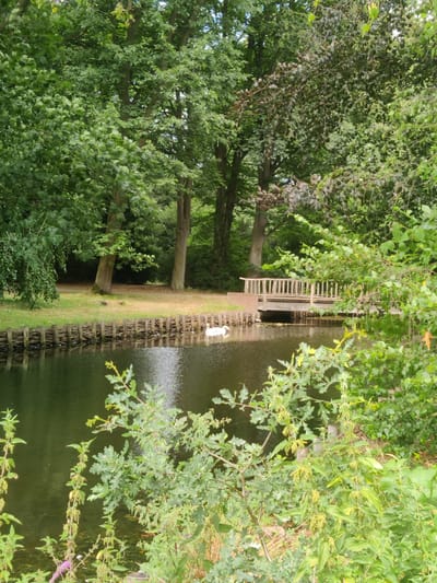 The image shows a serene natural scene in Isselburg, Germany, featuring a tranquil body of water bordered by lush greenery and trees. A charming wooden footbridge with railings arches over the water, leading to a grassy bank. On the water's surface, two white swans glide gracefully. The foreground is adorned with dense foliage, including bushes and plants with intricate leaf patterns, adding to the natural beauty of the setting. The overall impression is one of peace and natural splendor.