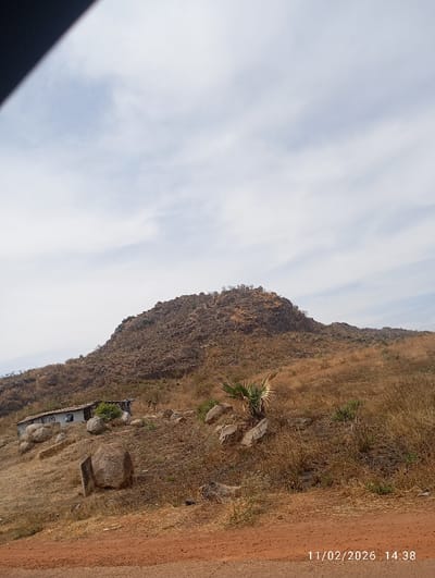 This image captures a semi-arid, hilly landscape in Mangu Halle, Nigeria. A prominent, rocky hill, sparsely vegetated with dry brown shrubs and grass, occupies the background. On the lower left slope of this hill, a small, light-colored structure with a dark roof is situated, partially obscured by green foliage and surrounded by boulders. The immediate foreground consists of a reddish-brown dirt road or path. The ground ascending the hill comprises dry, golden-brown grass and soil, interspersed with numerous grey boulders of varying sizes. A solitary, small, green palm-like plant grows amidst rocks in the mid-ground on the right. The sky above is light blue with diffuse white cloud formations. No human subjects or discernible activities are present. A digital timestamp of "11/02/2026 14:38" is visible in the bottom right corner.