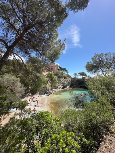 The image depicts a beach scene in Peguera, Spain. The view is taken from an elevated position, looking down upon a small cove.
The beach has a mix of sand and pebbles. Several people are lounging on the beach, some lying on towels and others standing. The water is clear and turquoise. The cove is surrounded by rocky cliffs and lush green vegetation, including pine trees and other shrubs.
A building is perched on the cliffside above the beach. The sky is blue with some wispy clouds. The scene suggests a sunny, warm day at a popular tourist destination.