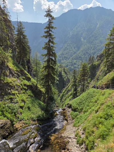 The image depicts a scenic gorge in the city of Landl, Austria, characterized by steep, moss-covered slopes and a winding stream. A tall, slender evergreen tree stands prominently in the center, drawing the eye towards a distant, verdant mountain range. A wooden walkway, complete with a railing, is visible on the right side of the gorge, with three individuals casually observing the surroundings. The sky is partly cloudy, with fluffy white clouds contrasting against a clear blue expanse. The overall impression is one of a tranquil and awe-inspiring natural landscape.