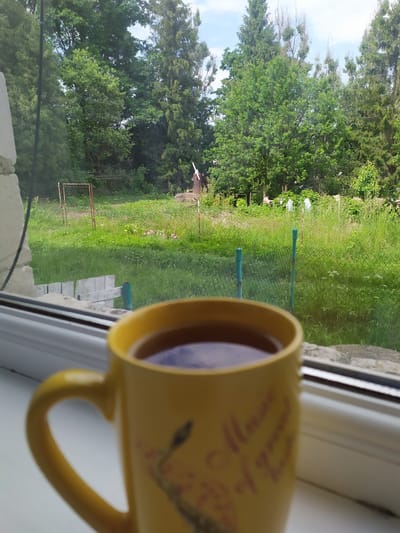 A close-up, slightly blurred shot focuses on a yellow mug filled with dark liquid, possibly tea, placed on a white windowsill. The mug features some faint, red lettering on its exterior. Beyond the windowsill, a sunlit, grassy yard is visible, dotted with various trees. A rudimentary metal gate with wire fencing is present in the mid-ground, along with a few small, pink flowers. Further back, the scene is bordered by a dense line of trees under a bright, partly cloudy sky. The image was taken in Turka, Ukraine.