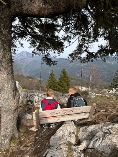 Two blond boys are sitting on a wooden bench atop a rocky outcrop. The boy on the left wears a dark jacket and a backpack. The boy on the right wears a blue and red jacket. The bench has carved markings, including a heart. A thick tree trunk with branches frames the left side of the image. Chains suspend the bench. A mountainous landscape is visible in the background. The location is Podvolovljek, Slovenia.