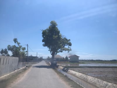The image shows a road in Blangawe, Indonesia, under a clear, blue sky. The road stretches into the distance, flanked by a concrete wall and utility poles on the left and a concrete irrigation ditch and flooded rice paddies on the right. A large tree grows alongside the road near the irrigation ditch. In the background, there are houses and vegetation. The rice paddies are partially filled with water, indicating recent or ongoing irrigation.