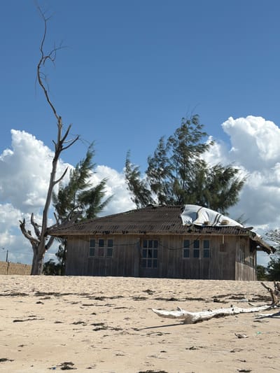 The image shows a dilapidated wooden structure with a partially collapsed roof, possibly located on a beach. The structure appears to be a building with multiple windows. A large dead tree with bare branches stretches towards the clear blue sky dotted with cumulus clouds. Adjacent to the structure is a sandy area strewn with debris and a piece of white driftwood. The scene suggests a coastal environment, possibly in Muitua, Mozambique. No people are visible in the image. The focus is on the decaying structure and its immediate surroundings.