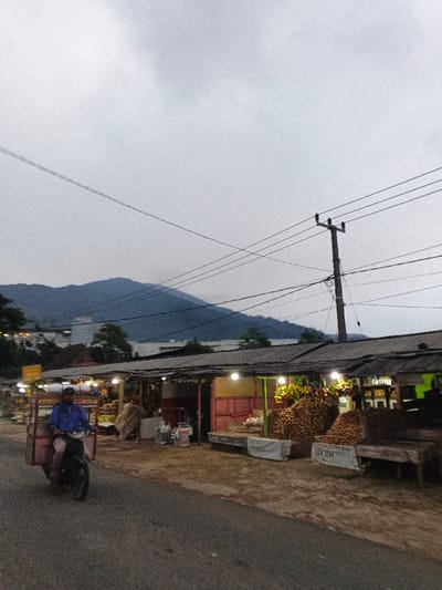 The image displays a roadside market scene in Phước Hòa, Vietnam, under an overcast, light grey sky. In the foreground, a paved asphalt road transitions to a dirt and gravel shoulder on the right. A man, wearing a blue long-sleeved shirt and a dark cap, is depicted riding a black motorcycle with a large, brown, open-sided cargo frame attached to its rear, traveling from left to right on the paved road.
Adjacent to the dirt shoulder, a row of semi-permanent market stalls with corrugated metal roofs is visible. These stalls are illuminated by multiple bare light bulbs, casting yellowish light. Prominently displayed in front of and within the stalls are numerous large piles of spiky, yellowish-brown fruits, consistent with durians, arranged on elevated platforms and directly on the ground. Smaller, indistinct objects and goods are also visible. In the center-right, a small white object, possibly a poultry or another item, rests on a raised platform. White rectangular objects, possibly containers or barriers, are positioned on the ground in front of the stalls; one shows partial text "MILKIJ."
A tall, dark wooden utility pole supporting multiple electrical insulators and numerous black wires stands on the right side of the frame. Several black utility wires crisscross the upper half of the image. In the distant background, prominent blue-grey mountains are visible beneath the overcast sky, partially obscured by buildings and trees located behind the market stalls.