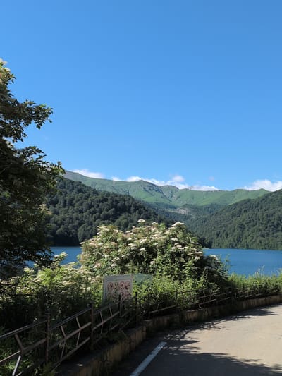 The image depicts a serene natural landscape with a clear blue sky overhead. In the foreground, a paved road runs diagonally from the bottom right corner towards the center, with faint white markings. A weathered metal fence runs along the edge of the road, separating it from lush green vegetation and a large bush with white flowers. Beyond the vegetation, a tranquil blue lake stretches across the middle ground. The background is dominated by a range of verdant, tree-covered mountains, with some lighter green slopes and patches of white clouds near the peaks. The overall impression is one of a peaceful natural setting, likely a scenic viewpoint or park area. The location is specified as Toğanalı, Azerbaijan.