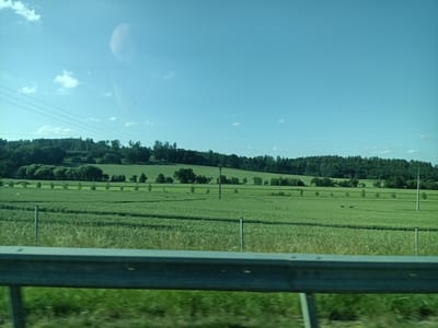 The image shows a view of a rural landscape from a moving vehicle in Divišov, Czechia. The foreground features a metal guardrail. Beyond the guardrail, there are green fields, possibly farmland, with some sparse trees and poles dotted across the landscape. In the distance, a dense line of trees forms a treeline, with a clear blue sky above, featuring a few scattered clouds and a large, light-colored amorphous shape. The image captures a typical pastoral scene in the Czech countryside.