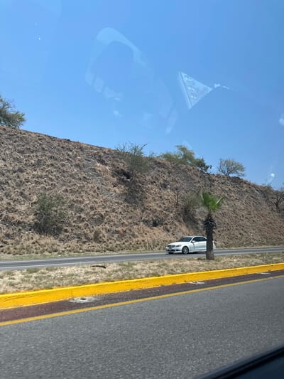 The image, taken from inside a vehicle, shows a roadside scene outside of Tequesquitengo, Mexico. A white car is parked on the shoulder of a two-lane road, adjacent to a steep, dry hillside covered with sparse vegetation. The road has a yellow shoulder line. The sky is clear and blue. A palm tree is growing on the hillside near the car. Reflections are visible in the window of the vehicle.