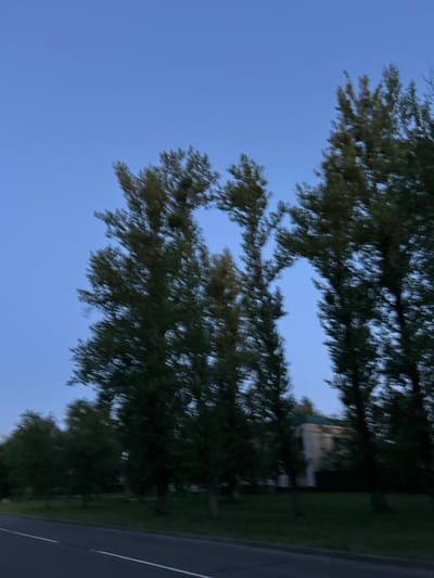 The image depicts a blurred view of trees and a building against a clear blue sky, suggesting it was taken at dusk or dawn. The perspective appears to be from a moving vehicle on a road, as indicated by the blurred foreground and the angled composition. Tall, slender trees with dense foliage dominate the scene, with some branches forming a V-shape between two of them. In the background, a light-colored building with a green roof is partially visible through the trees. The setting is a roadside environment, likely within or near a residential area in Парыцкі сельскі Савет, Belarus, given the presence of trees, a building, and a road. No people or specific actions are discernible due to the blur.
