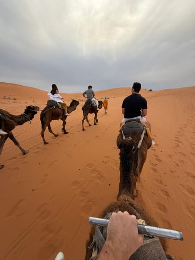 The image captures a camel train traversing a vast desert landscape, presumably in or near Rissani, Morocco. The foreground features the camel a first-person perspective shows one or more people are riding. The camel is equipped with a saddle. A person's hand is visible holding a metal support bar. Further along the train, other camels and riders are visible. The landscape is comprised of undulating sand dunes, colored in shades of orange. The sky is overcast.