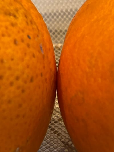 Two spherical, orange-colored citrus fruits are depicted in a close-up, static shot, positioned vertically and side-by-side, their rinds nearly touching in the center of the frame. The left fruit displays a textured skin with numerous small dark spots and faint purplish-grey markings. The right fruit exhibits a similar textured, orange rind. Both fruits are situated in front of a blurred background featuring a light-colored, metallic grate or mesh with a regular pattern of small rectangular or oval openings. The scene is located in Bonnieux, France. No individuals are present.