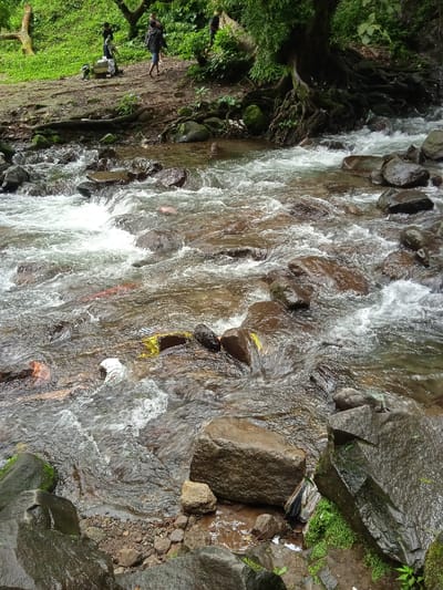 The image shows a river flowing over rocks in a lush green environment in Tawangmangu, Indonesia (latitude: -7.655, longitude: 111.135). The water is flowing rapidly, creating whitewater and foam. The riverbed is composed of large, brown rocks covered in moss. The riverbank is covered in lush green foliage. A large tree with thick roots is visible on the opposite bank. Two figures are walking on the bank in the background. The river flows from the top of the frame towards the bottom. There is a lot of green vegetation near the edge of the river. The image was likely taken on a sunny day.