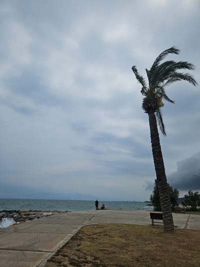 The image depicts a cloudy day at the coast in Güzelbahçe, Turkey. In the foreground, a tall palm tree leans to the right, its fronds rustling in the wind. A paved walkway runs parallel to the sea, with a strip of dry grass to its right. The sea is choppy, with waves crashing against a rocky embankment. Two figures are visible on the walkway near the water's edge: one person in black clothing, and another in a pink top. In the middle ground, a dark-colored bench sits on the grass. In the background, a distant city skyline and mountains are shrouded in haze under the overcast sky. The overall atmosphere is moody and windswept.