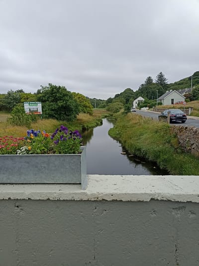 The image depicts a view from a bridge overlooking a narrow, calm river. In the foreground, a galvanized metal planter box contains a vibrant arrangement of colorful flowers, including pansies, pink daisies, and yellow and orange blooms. Beyond the planter, the river meanders through a landscape of lush green grass and trees. On the right bank of the river, a stone wall runs alongside a paved road. A dark-colored sedan is visible on the road, along with a red car parked further down. Several houses with white trim and grey roofs are nestled among the trees on a gentle slope. A speed limit sign indicating "60" is visible near the road. In the background, a green sign with white lettering is posted on a post, and the sky is overcast. The scene is set in Annagry, Ireland, a small village known for its scenic beauty and coastal location.