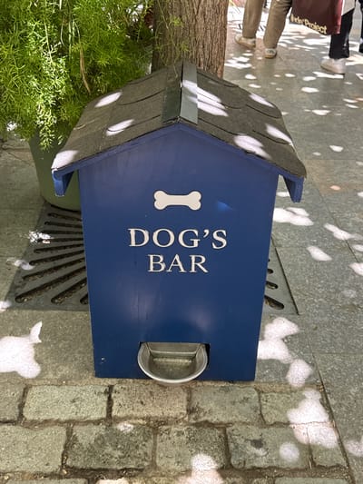 A blue wooden dog bar structure with a metal water bowl is situated on a paved sidewalk. The structure has a dark shingled roof and the words "DOG'S BAR" are displayed in white lettering on its front, along with a white bone graphic above the text. The pavement consists of cobblestones and larger stone slabs. To the left of the dog bar, a large green potted plant with feathery foliage is visible, and a tree trunk is to the left of the structure. Sunlight creates dappled shadows on the ground and the dog bar. In the background, the legs of several people are visible, suggesting a public outdoor space. This scene is located in the city of La Roca del Vallès, Spain.