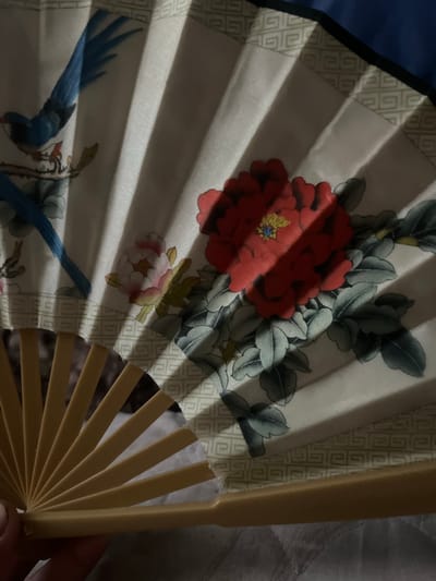 The image shows a close-up of an open fan, likely made of fabric and wooden ribs. The fan is decorated with a traditional East Asian design featuring a blue bird perched on a branch with flowers. A large red peony-like flower with green leaves is prominently displayed. The fan is partially closed, with the wooden ribs visible at the bottom. Sunlight casts diagonal shadows across the fan, highlighting its texture and the painted details. The background is out of focus and appears to be a textured surface. There are no people visible in the image, and no identifiable landmarks or context to suggest a location in Hazorasp, Uzbekistan.