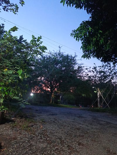This is an outdoor scene in Monagas, Venezuela, at dusk or twilight. The foreground consists of a gravel road, receding into the middle ground where trees and vegetation obscure the view. The sky is visible in the background, showing a gradient of colors transitioning from blue above to faint orange or pink near the horizon. Trees frame the scene on both sides, with denser foliage on the left and right edges. Utility poles are partially visible in the upper center, with wires stretching across the sky. Streetlights are present but not prominent due to the ambient light. The general illumination is low, and no people are visible.
