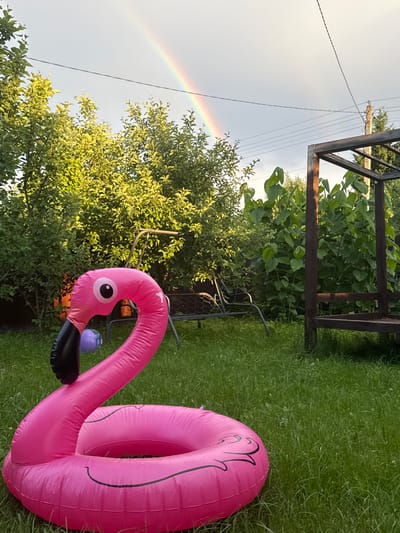 A bright pink inflatable flamingo with a black beak and an eye is positioned in the foreground of a grassy backyard. A purple ball is partially visible behind the flamingo's neck. In the background, there is a swing set, a wooden structure resembling a gazebo, and dense green foliage. A rainbow arches across the cloudy sky, with power lines and a utility pole visible on the right side of the image. The scene is outdoors, likely in a suburban or rural setting. The location is specified as Тмз Снт, Russia.