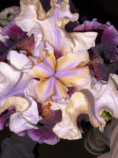 The image is a close-up, top-down shot of a bouquet of iris flowers. The flowers display a range of colors, including white, pale yellow, lavender, and deep purple. Some petals are dried and curled, while others appear softer. The arrangement is dense, with petals overlapping and obscuring much of the background. The lighting is dim, casting shadows and highlighting the texture of the flowers. In the lower left of the frame, a person's gray sleeve is visible. In the lower right, part of a shoe with white laces and a white sole is visible. The surrounding environment is dark and out of focus, suggesting the photograph was taken indoors at night or in low light conditions. There is no visible indication of the city of Нижние Муллы, Russia in the image.