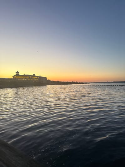 A wide-angle, vertical shot captures a body of water with gentle ripples under a gradient sky transitioning from a pale blue at the top to warm yellow and orange hues near the horizon. On the left, a building with illuminated windows sits on a shore dotted with trees. A long, thin structure, possibly a pier or a series of buoys, stretches across the water in the mid-ground. The foreground features the edge of a wooden surface. Several birds are visible flying in the sky. The scene is set at dusk, likely in Kazashko, Bulgaria, given the context.