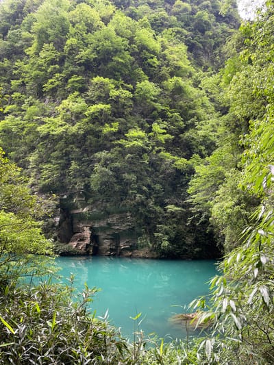 The image depicts a vivid turquoise river bordered by a lush, green forest. The river surface is relatively calm. A steep, rocky cliff face is visible between the forest and the river. The forest appears dense, with varying shades of green leaves. The image is taken at a slightly elevated angle, looking down upon the scene. The location is Sanguansi, China.