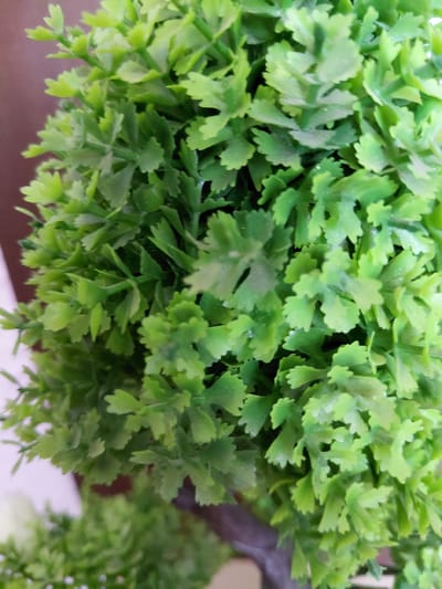 The image displays a close-up, eye-level view of a dense clump of artificial green foliage. The leaves are small and have a lobed, somewhat serrated edge, resembling parsley or a fern. The plastic material of the leaves has a matte finish with subtle variations in shade, suggesting naturalistic coloring. The lighting is even, with no harsh shadows, and the depth of field is shallow, blurring the background. In the lower part of the frame, a dark brown, textured stem or branch is partially visible, indicating the foliage is part of a plant or decorative arrangement. The background is out of focus, showing muted tones of brown and possibly white. There are no people or discernible actions in the image. The scene is static and focuses solely on the texture and arrangement of the artificial plants. There is no indication of the city of Petreni, Moldova.