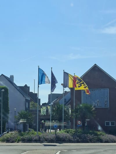The image shows a street scene in the city of Boom, Belgium. In the foreground, there is a road with white markings. Behind the road, a garden bed with purple flowers and green bushes is visible. Further back, there are several flags on flagpoles. From left to right, the flags appear to be a white and blue flag, the European Union flag, and a flag with vertical yellow, red, and black stripes and a black lion on a yellow background. Several buildings are visible behind the flags, including a light-colored building on the left with a dark roof and chimneys, and a red brick building on the right with a large, weathered blue sign. There are also palm trees and other greenery in the scene. A street lamp is visible on the left side of the image. Further in the background, people are seen walking. A speed limit sign with "3.5" is visible on the right side of the image. The sky is clear and blue with a faint contrail from an aircraft.