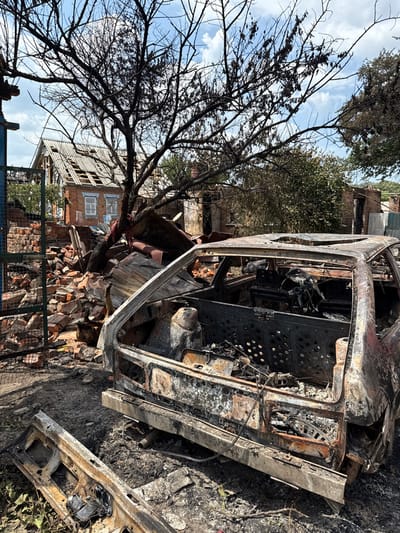The image depicts a scene of extensive destruction in Nedryhailiv, Ukraine. In the immediate foreground and midground, a heavily burned and skeletal vehicle, consistent with a four-door sedan or hatchback, rests on a dirt and ash-covered ground. The vehicle's interior is completely incinerated, exposing the metal frame and components; the rear bumper is missing, and a detached, rusted metal section lies in front of the vehicle.

To the left of the burnt vehicle, a large pile of red brick rubble and assorted debris is visible. Dominating the center of the frame is a tree with a bare, blackened trunk and branches, indicating severe burn damage.

In the background, a two-story brick house with white-framed windows exhibits significant structural damage, specifically to its roof, where numerous tiles are missing or broken, exposing the underlying rafters. Other heavily damaged or partially collapsed structures are visible further in the background, surrounded by sparse, burnt vegetation. The sky above is partly cloudy. No individuals are present in the scene, and no actions or interactions are depicted.