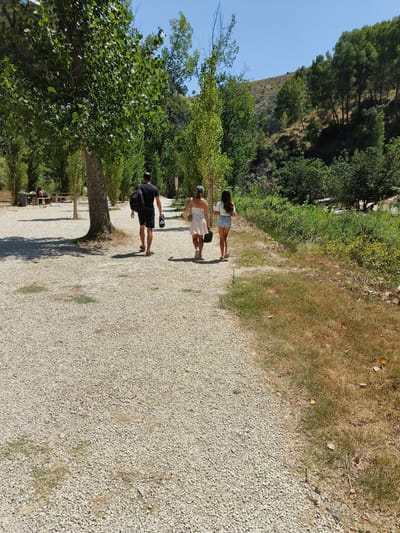 The image shows a sun-drenched scene with a gravel path winding through a park-like area in Ontinyent, Spain. Three individuals are walking away from the camera on the path. The person in front is a woman wearing a white dress and carrying a dark bag. Beside her is a younger woman in denim shorts and a white t-shirt, also holding a dark bag. Following behind them is a man in a black t-shirt and shorts, carrying a black backpack.

The path is lined with trees, some of which cast dappled shadows on the ground. To the right of the path, dry grass and vegetation are visible, suggesting a warm, dry climate. In the background, a lush green hillside with scattered trees rises under a clear blue sky. Further back, there is a darker area of dense trees and foliage, possibly indicating a more natural, less manicured area. To the left, in the distance, some picnic tables and benches can be seen under trees, with two people seated. The overall impression is of a pleasant, outdoor recreational space.