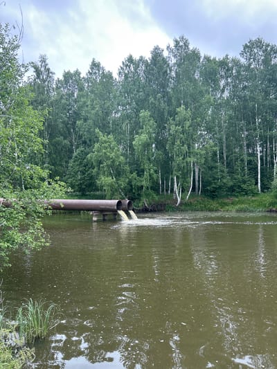 Two large, rusty industrial pipes extend horizontally over a murky green body of water, supported by metal posts. Yellowish liquid is being discharged from both pipes into the water, creating a frothy disturbance on the surface. The pipes are positioned to the left of the frame, with the discharge occurring mid-way across the image. The water reflects the overcast sky and the surrounding lush green foliage of a dense forest that lines the far bank of the water. The forest consists primarily of birch and other deciduous trees, with some evergreen trees interspersed. The sky is cloudy and grey, suggesting an overcast day. The location is Detskii Dom (Bashenino), Russia.
