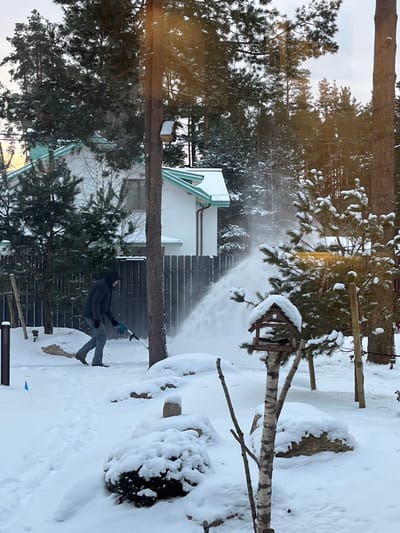 This image, taken in Finskiy Briz, Russia, depicts a winter residential scene. A male individual, dressed in a dark hooded jacket, light-colored pants, and dark footwear, operates a light-blue and black handheld snowblower. He is positioned left of center, actively clearing snow, with a significant plume of displaced snow projecting towards the right mid-ground. The ground is uniformly covered in a thick layer of snow, encasing low bushes and rocks.
In the background, a white two-story house with a teal-trimmed roof, also covered in snow, is visible behind a dark vertical slat wooden fence. Dense pine trees, heavily laden with snow, form a natural backdrop behind the house and fence. In the mid-foreground, a birch tree stands upright, adorned with a wooden, chalet-style birdhouse on its trunk, which is also covered in snow. Smaller bare branches and a dark post are visible in the left foreground, alongside what appear to be blue markers in the snow. The lighting is consistent with an overcast winter day.