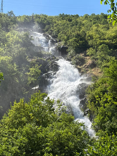 This image depicts a cascading waterfall flowing down a rocky, forested mountainside under a clear blue sky. The waterfall is the central focus, with white water rushing over dark rocks and through lush green trees. Power lines and a pylon are visible in the upper left quadrant, suggesting proximity to infrastructure. The foreground is dominated by dense green foliage, framing the waterfall. The scene is natural and serene, with the sound of rushing water implied. This waterfall is located in Pastra, Bulgaria, near the Seven Rila Lakes.