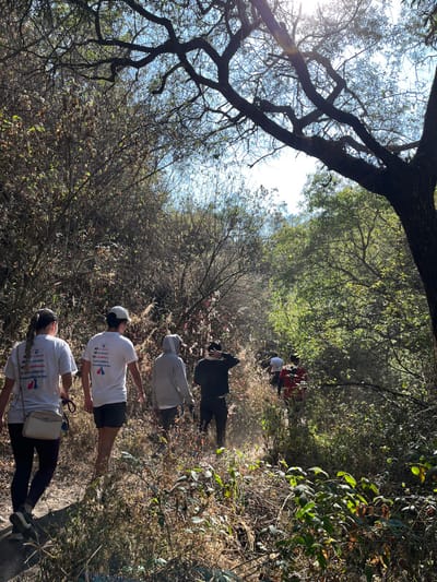 The image displays a group of at least seven individuals hiking on a narrow, dusty dirt path through a densely vegetated, natural area in San Andrés Calpan, Mexico. The scene is illuminated by bright sunlight originating from the upper right, filtering through overhead tree branches with sparse foliage.

In the foreground, three individuals are observed walking away from the camera. The person on the far left wears a white short-sleeved t-shirt with blue and red text, dark pants, and a beige crossbody bag, also holding a dark leash or strap. The individual in the center wears a similar white t-shirt, dark shorts, and a backward baseball cap. The person on the right is dressed in a light gray hooded sweatshirt. Further along the path, four additional individuals are visible in various states of focus; one wears a dark shirt and is seen adjusting their head, another wears a lighter-colored shirt, and two more indistinct figures are present further in the distance, one wearing a red shirt.

The path is flanked by abundant, largely dry and brown bushes and tall grasses, with some sections exhibiting green foliage, particularly deeper into the scene. The ground surface is consistent with dry earth, showing faint dust trails. Large, dark tree branches span the upper portion of the frame, silhouetted against a bright, clear sky.