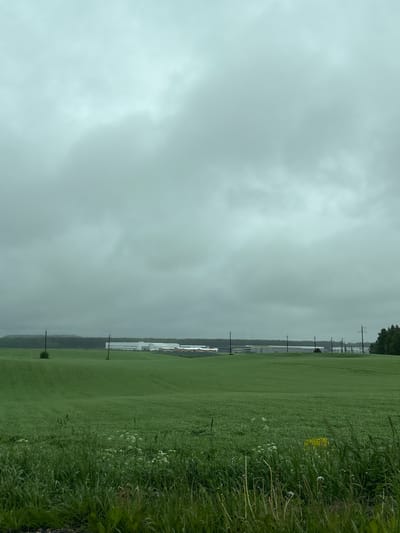 The photograph shows a landscape in Myaglovo, Russia under a cloudy, overcast sky. A large green field occupies the majority of the right side of the image, with taller grass and weeds bordering the field's edge in the foreground. Utility poles are visible extending across the field. In the background, a large, white building complex is visible. The left side of the image is dominated by the gray, cloudy sky.