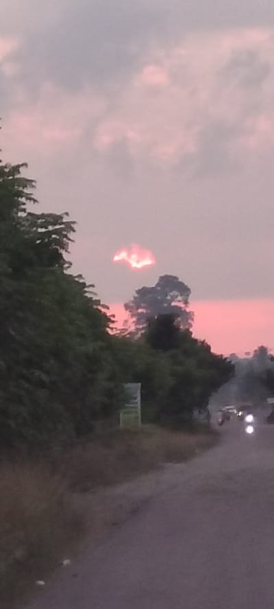 The image captures a sunset over a rural area, likely in Blangmajron, Indonesia, indicated by the presence of lush vegetation and a paved road suggesting a developing or established community. The sky is painted with soft hues of pink and gray, with a notable cloud formation in the upper middle ground that appears illuminated by the setting sun, creating a fiery or glowing effect.
On the left side of the frame, dense green foliage lines the edge of the road, obscuring much of the immediate landscape. A light-colored rectangular signpost is partially visible amidst this greenery. The road itself curves gently to the right, disappearing into the distance.
Further down the road, a few vehicles are present. Two vehicles in the middle ground, appearing to be SUVs or similar, are illuminated by their headlights, suggesting it is either dusk or they are driving through an area with some dust or smoke. Another vehicle is visible in the far distance, its headlights also illuminated. The overall impression is of a tranquil evening scene in a semi-rural setting, transitioning into night.