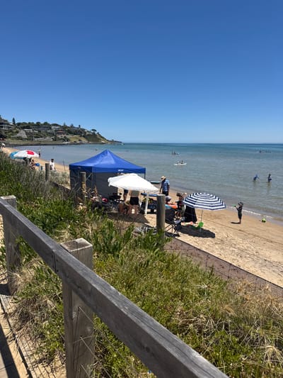 The image, when correctly oriented, captures a bright, sunny day at a beach, viewed from an elevated perspective. In the immediate foreground on the right, a weathered wooden railing runs horizontally, bordering a patch of dry grass and green shrubbery, suggesting a boardwalk or viewing platform.

Below and beyond the railing, a sandy beach stretches towards the calm, clear ocean water. Several groups of people are enjoying the beach. On the sand, a prominent blue pop-up canopy tent stands alongside a smaller white canopy, with people gathered underneath and around them, some seated on beach chairs. Nearby, a distinctive blue and white striped beach umbrella shades another small group. A black mesh fence separates the sandy area from the vegetated bank.

In the pale blue ocean, multiple individuals are visible: some are wading or swimming close to shore, while others are further out on paddleboards or kayaks. In the distance, along the curved coastline, a residential area with houses and greenery can be seen. The sky above is a vast, cloudless blue.

The scene depicts a leisurely beach day, possibly a small organized event or gathering given the tents and concentrated groups. The bright light and clear conditions suggest it is mid-day on a sunny day in Frankston, Australia. Some indistinct white text can be seen on the blue tent.