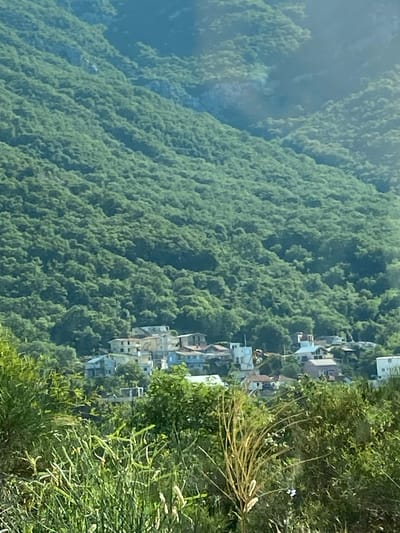The image displays a steep, densely forested mountainside in Zgrade, Montenegro. A small village is nestled precariously on the slope, with white and light-colored buildings clustered together. The architecture appears to be simple, with multiple stories and visible windows. Some buildings have flat roofs, while others show tiled roofs. The village is surrounded by lush green foliage, indicating a thriving natural environment. The image is oriented vertically, with the village and a portion of the foreground greenery occupying the right side of the frame, and the expansive, treed mountainside dominating the left. The time of day appears to be daytime, with soft lighting that suggests overcast skies or possibly early morning or late afternoon. The overall mood is serene and picturesque, highlighting the integration of human settlement with a wild, natural landscape. There is no visible text in the image.