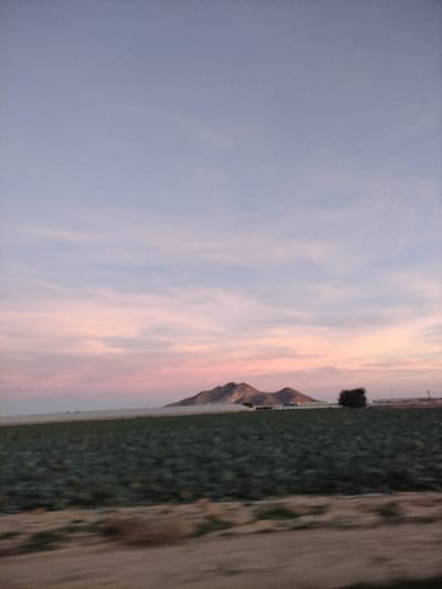 A picturesque landscape unfolds with a serene sky painted in hues of blue and pink, hinting at either dawn or dusk. Distant mountains stand as silent sentinels against the colorful backdrop. A field of verdant green stretches towards the horizon, meeting a border of brown, possibly a road or arid land. A lone tree adds a touch of solitude to the scene.