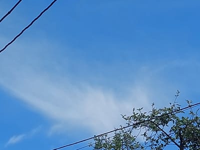 The image shows a bright blue sky with a few wispy white clouds. Two dark power lines run diagonally across the frame. In the lower right corner, the branches and green leaves of a tree are visible, with more power lines passing through it. The scene is consistent with an outdoor, daytime view from the city of Sahaidachne, Ukraine, likely depicting a residential or rural area where power lines are common. There are no people or specific activities depicted.