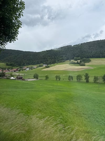 The image depicts a pastoral landscape in the municipality of Saules (BE), Switzerland. The foreground is dominated by a vast, undulating green meadow, with tall, wispy grasses in the lower left corner catching the light. In the midground, a line of mature trees stretches horizontally across a cultivated field, separating it from another expansive green pasture. Further back, a small village with red-roofed houses is nestled against a densely forested hillside that rises to form a prominent mountain range. The sky above is overcast with dramatic, grey clouds, suggesting a pending change in weather. The scene is tranquil and rural, with no people visible.