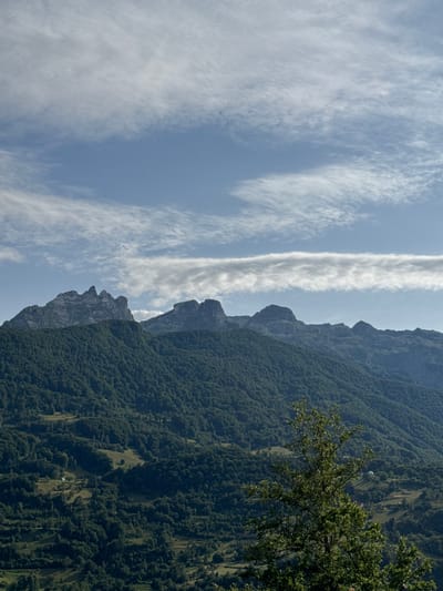The image shows a panoramic view of the mountains and forested hills surrounding Redice, Montenegro. The sky is a clear blue with scattered white clouds, some of which are wispy and stretched horizontally. In the foreground, a portion of a leafy green tree is visible on the right side of the frame. The middle ground is dominated by a vast expanse of dark green forest covering rolling hills. In the distance, the rugged peaks of mountains rise above the treeline, with visible rock formations and jagged edges. Small clearings and what appear to be buildings are scattered within the forested slopes, suggesting human habitation in the area. The overall impression is one of a serene and natural mountain landscape.